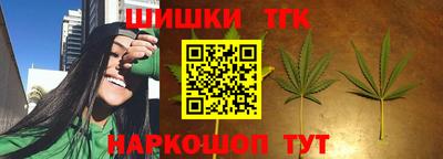 прущие грибы Шахты