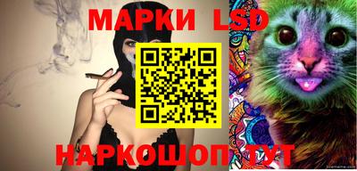 прущие грибы Шахты