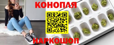 прущие грибы Шахты