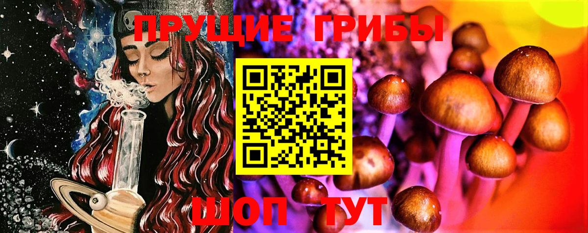 Псилоцибиновые грибы GOLDEN TEACHER  Вход с VPN  Белореченск  Псилоцибиновые грибы Magic Shrooms 